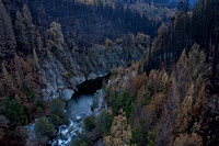 Ellicot Bridge