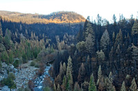 Ellicot Bridge