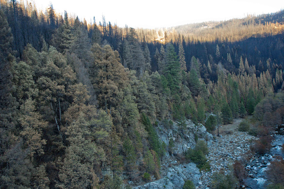Ellicot Bridge