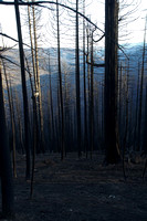 from the 2 Road, above LAWTR