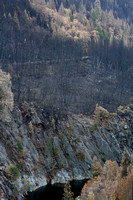 Ellicot Bridge
